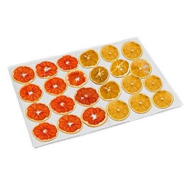 Kwasyo 10 Pièces Feuilles de Déshydrateur Carrées en Silicone Tapis de Déshydrateur Antiadhésifs pour Fruits Alimentaires Réu