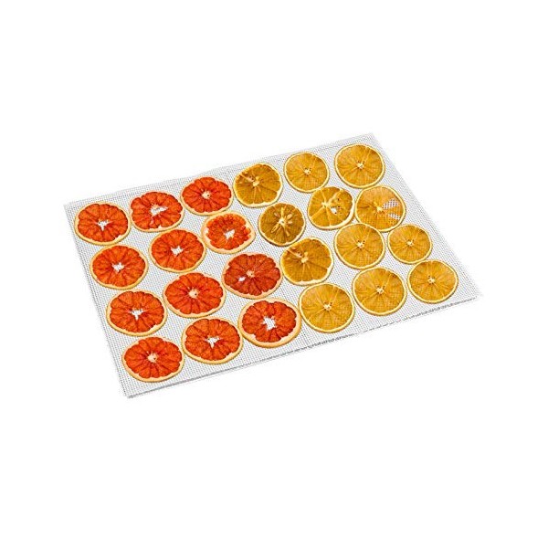 Kwasyo 10 Pièces Feuilles de Déshydrateur Carrées en Silicone Tapis de Déshydrateur Antiadhésifs pour Fruits Alimentaires Réu