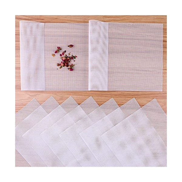 Tikplus Lot de 10 feuilles de déshydrateur en silicone anti-adhésif pour fruits 28,5 x 20 cm