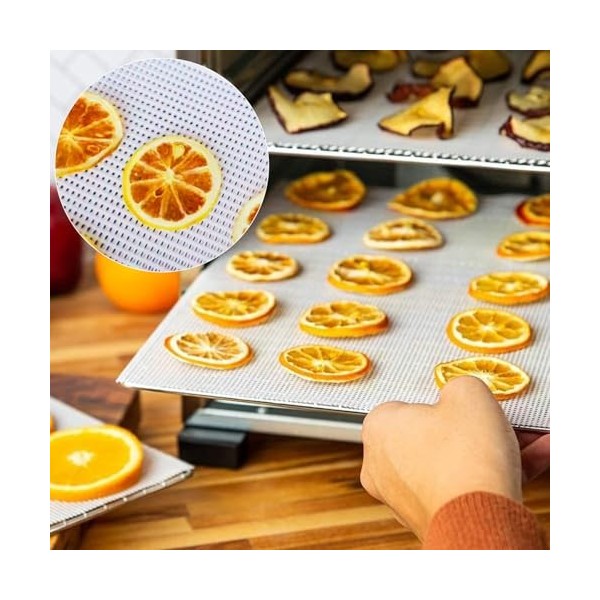 RANJIMA Lot de 6 films de déshydratation pour déshydrateur automatique - Réutilisables - En silicone antiadhésif - Pour sécho