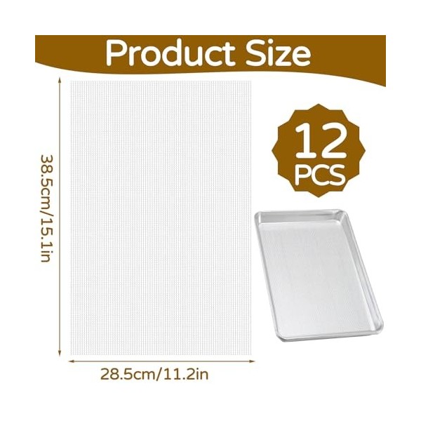 Lot de 12 feuilles de déshydrateur en silicone - 28,5 x 38,5 cm - Film de déshydratation carré pour déshydrateur automatique 
