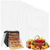 Lot de 12 feuilles de déshydrateur en silicone, tapis en maille de silicone, plateaux carrés en silicone, tapis de séchage en