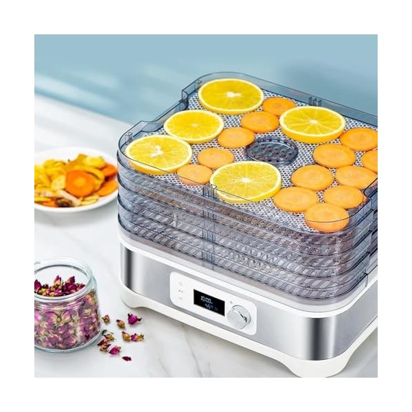 TXXATX Feuilles de Déshydrateur en Silicone 17x26 cm Tapis de Déshydrateur 10 Pièces Feuilles de Déshydrateur Antiadhésifs Dé