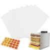 Herbst Lot de 10 films de déshydratation pour déshydrateur automatique, 35 x 30 cm, réutilisables, anti-adhésifs, tapis à vap