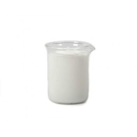 Lotion Corporelle Naturelle Sans Parfum 5Kg