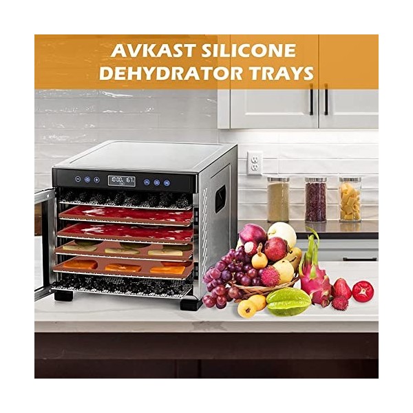 Asuinxurr Plaques de déshydratation en silicone avec en cuir pour fruits liquides, viande, légumes avec grattoir en silicone