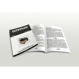 G3 Ferrari G10032 Pizzeria Goûter Napolitain, Four Pizza Plus ÉVO, Double Pierre Réfractaire diamètre 31 cm , 1200 W, Minute