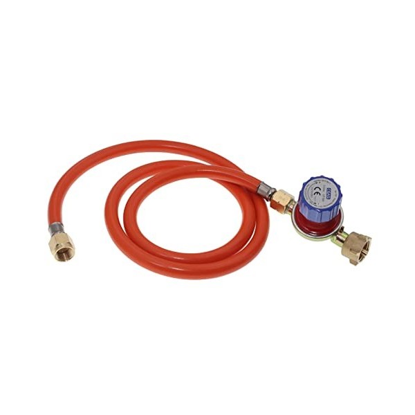 METER STAR 41 000 BTU - 10 buses - Ensemble de brûleur en fonte fait maison - Système de contrôle de la flamme et régulateur