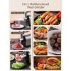 3 en 1 Hachoir à Viande Électrique Professionnel avec 3 Plaques Abrasives en Acier Inoxydable, 1 Kubbe et 3 tubes de Rempliss