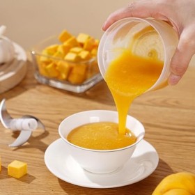 Jasfyee Hachoir Électrique 250ML, Mini Hachoir Coupe Oignon Automatique Acier Inoxydable 3 Lames, Hachoir Automatique Hachoir