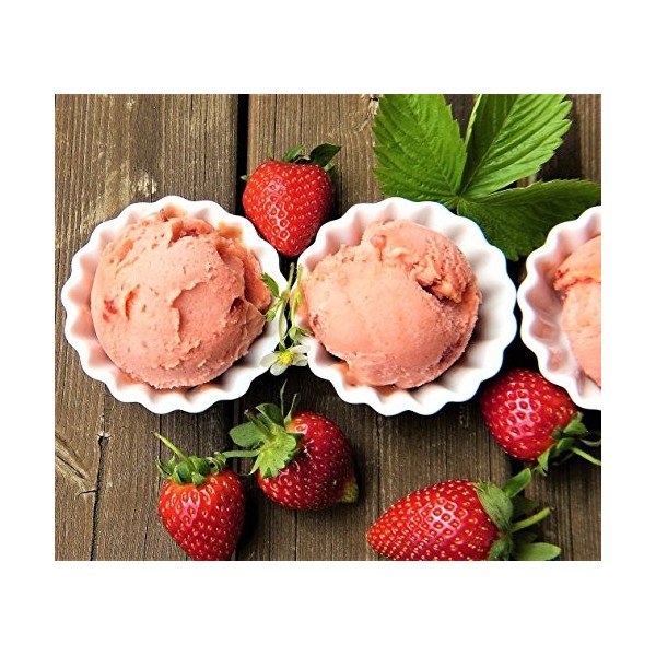 Rommelsbacher IB 05 Bac de congélation pour machine à glace 12 Kurt/Practical Dual Bin avec couvercle Noir 1,5 l