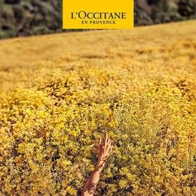 L´Occitane Rose Lait parfumé 250ml
