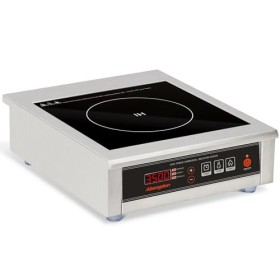 Plaque à Induction Abangdun, 3500W Plaque de Cuisson à Induction avec 16 Niveaux de Puissance, 400W-3500W, Plage de Températu