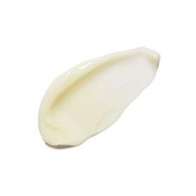 Whamisa Lotion pour le corps Organic Fruits - Vainqueur du test 2022 - Lotion pour le corps - Riche en vitamines et antioxyda