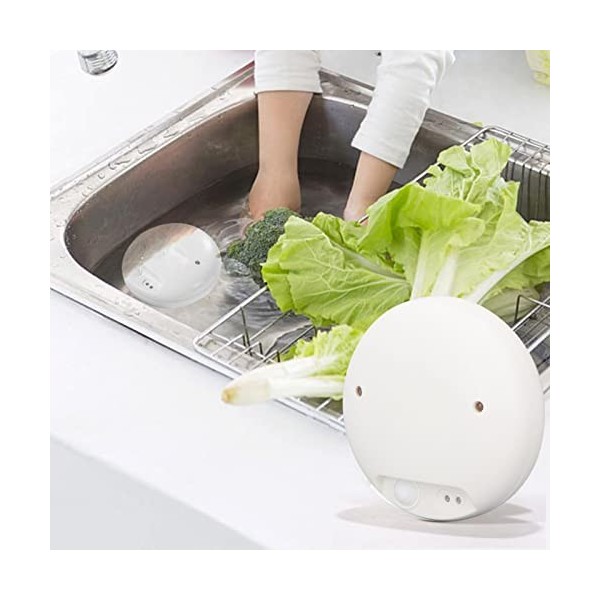 Haofy Fruit Légumes Machine À Laver Maison Portable Négatif ION Légumes Purificateur USB Alimentaire Nettoyant Légumes Machin