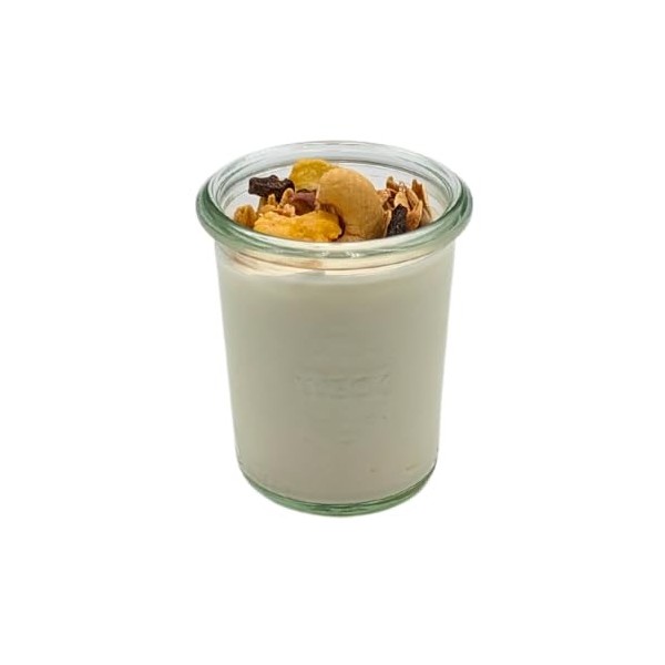 Weck Lot de 10 verres à yaourt avec couvercle de 160 ml - Verres à dessert et à yaourt - Compatible avec diverses yaourtières