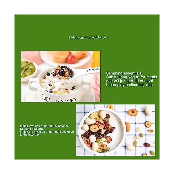 Yaourtière, Machine à Yaourt Compacte avec Contrôle de Température Constant, Récipient en Acier Inoxydable pour Yaourt Natto 