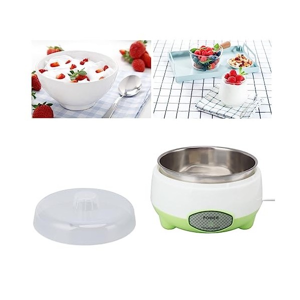 Yaourt Hine Cact Yaourtière Hine Récipient en Acier Inoxydable Yaourtière pour Yaourt Fait Maison G 15W Prise UE 220V Jardina