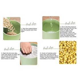 Machine de culture de germes de soja, germe de graines automatique de grande capacité, sain, facile à nettoyer, polyvalent po