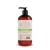 Soapbox Bamboo & Green Tea Body Lotion For Glowing Moisture, Packed With Vitamin C & Jojoba Oil to Lock-In Hydration & Mainta