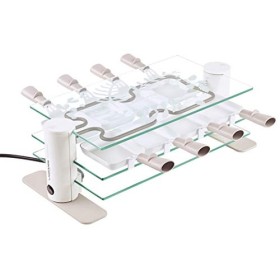 LAGRANGE Appareil à raclette 8 personnes, 1000 W, Plateaux verre, poêlons revêtements céramique, Repose poêlons intégré, Desi