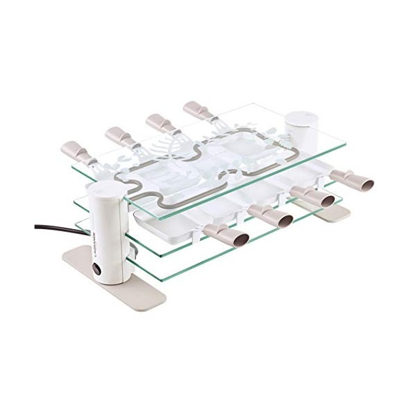 LAGRANGE Appareil à raclette 8 personnes, 1000 W, Plateaux verre, poêlons revêtements céramique, Repose poêlons intégré, Desi
