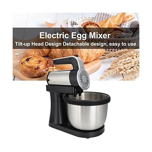 Batteur à Main électrique, 1000 W, 5 Vitesses, Mélangeur de Cuisine pour la Cuisson de Gâteaux, œufs, Crème, Batteurs Aliment