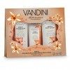 VANDINI Energy Wellness Coffret cadeau femme - Coffret detente avec lotion pour le corps, gel douche et crème pour les mains 