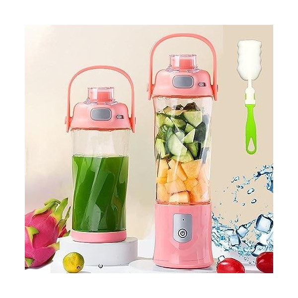 Mixeur Blender Portable 580ml /20oz pour Shakes et Smoothies - Mini Mixeur Smoothie Portable avec 6 Lames et USB blender 270W
