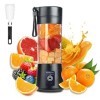 Mixeur Portable, Mixeur électrique USB, Mini Mélangeur Portable pour Shakes et Smoothies, jus, 380 ml, 6 lames idéales pour M