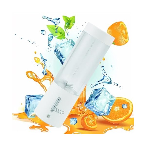 SH-RuiDu Mixeur personnel de 450 ml, mini mélangeur à smoothie portable, rechargeable par USB, sans fil, avec 6 lames puissan