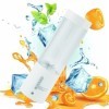SH-RuiDu Mixeur personnel de 450 ml, mini mélangeur à smoothie portable, rechargeable par USB, sans fil, avec 6 lames puissan