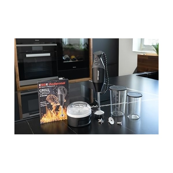 ESGE M 200 BBQ Mélangeur par immersion 200 W Noir, Chrome