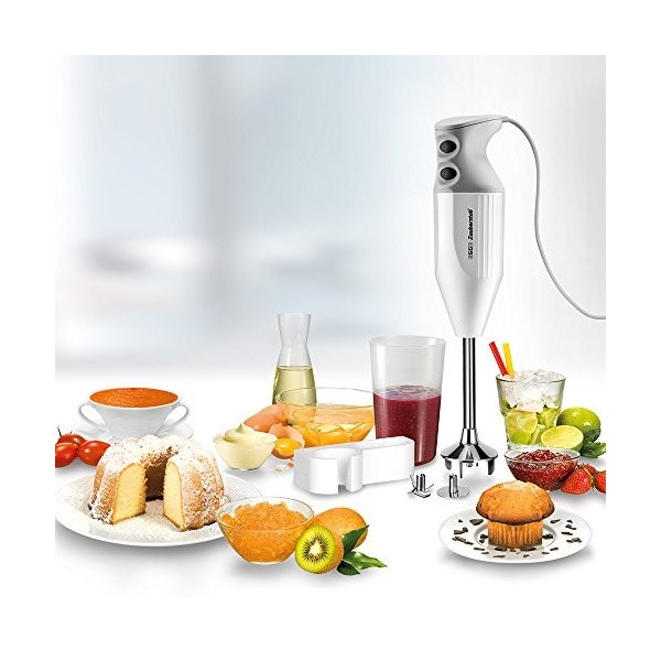 ESGE 90310 M 122 S Petit Electroménager Mixeur Blanc