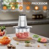 Mixeur Hachoir Électrique, Facelle Hachoir a Viande 2L, Food Processor 500W Avec Bol en Verre et 4 Lames Tranchantes Pour Via