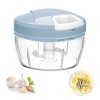 Hachoir Manuel Mini Garlic Chopper Multifonctions Oignon Chopper 200ML Mixeur Manuel pour Noix Légumes Herbes Ail Garlic Oign