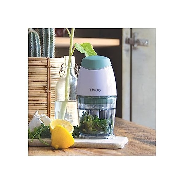 Livoo Hachoir électrique