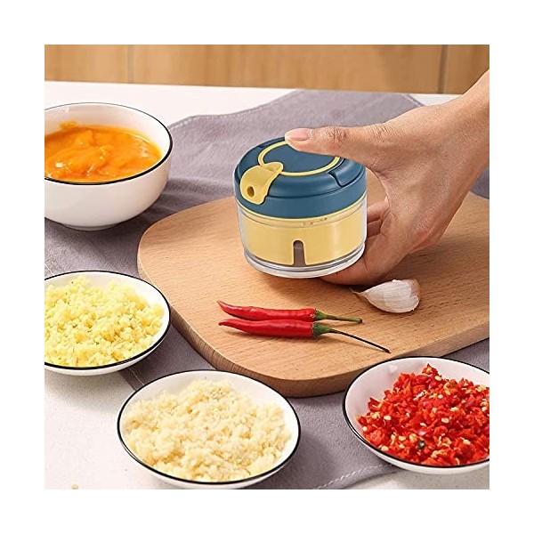 Cisixin Coupe Ail Manuel, Mini Hachoir à Légumes, Machine Hacher Viande et Ognons