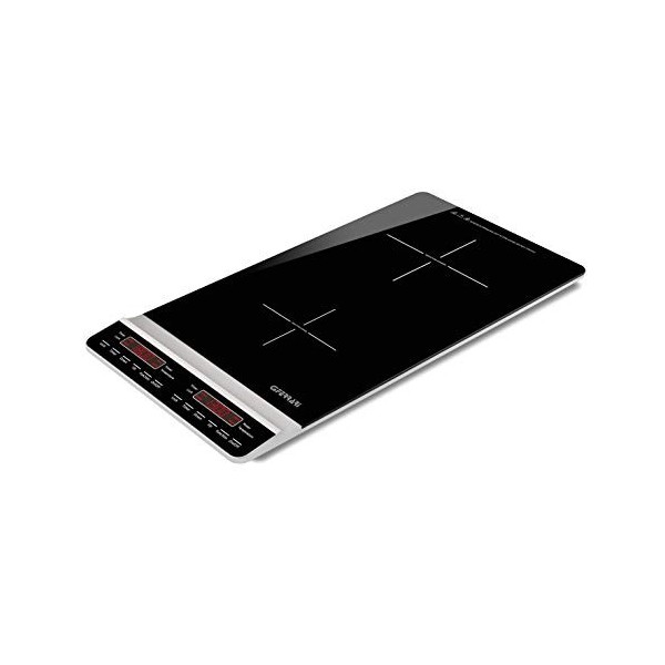 G3 Ferrari G10139 Cuisinier à Induction Double Vertical dynamique Profond, Verre, Noir
