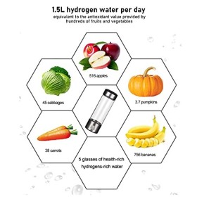 Générateur dhydrogène Riche Loniseur Deau Hydrogène 450ML, Machine Alcaline Dioniseur deau Avec Portable Rechargable, Gén