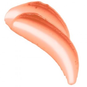 Wet n Wild x Disney Villains Jelly Blush, Blush Gel Modulable, Fini Dewy Glow - Inspiré de Cruella dEnfer, Vain