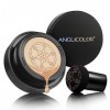 Anglicolor Mushroom Head Air Cushion CC Cream - Correcteur à couverture complète - Longue durée - CC Cream - Pour un teint un