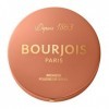 Bourjois Maxi Boîte Ronde Poudre de Soleil, 002 Medium, Fini mat doux, Formule Vegan, Poudre bronzante facile à estomper, Pou