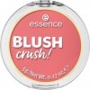Essence - Blush Crush! - 30 Cool Berry