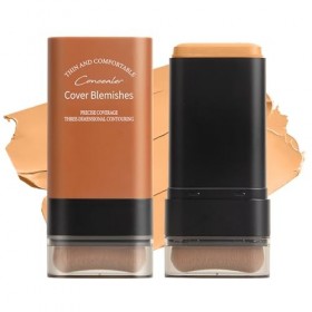 Fond de teint, correcteur de teint hydratant, avec pinceau intégré, finition mate, longue durée, convient à tous les types de