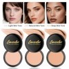 Correcteur imperméable à leau, couvre les taches de rousseur, les cernes sombres et les cicatrices dacné, anti-cernes longu