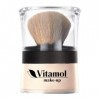 Vitamol Make up Poudre minérale naturelle bio naturelle poudre micronisée 14gr Cipria 