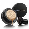 Anglicolor Mushroom Head Air Cushion CC Cream - Correcteur à couverture complète - Longue durée - CC Cream - Pour un teint un
