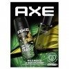 AXE Coffret cadeau Homme Wild avec 2 produits homme, un déodorant bodyspray de 200 ml et une eau de toilette de 100 ml au par