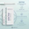 ORPHICA BROW Sérum pour sourcils 3 x 4 ml pour sourcils forts et pleins - Avec extrait dortie et de ginseng - Peptides - Gel